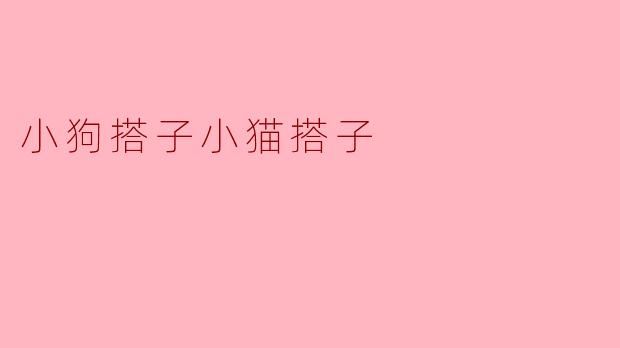 小狗搭子小猫搭子