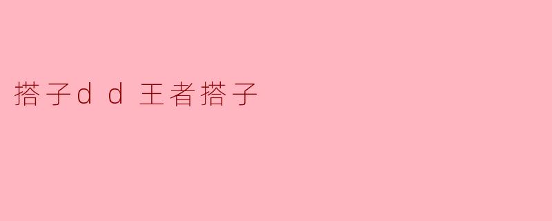 搭子dd王者搭子