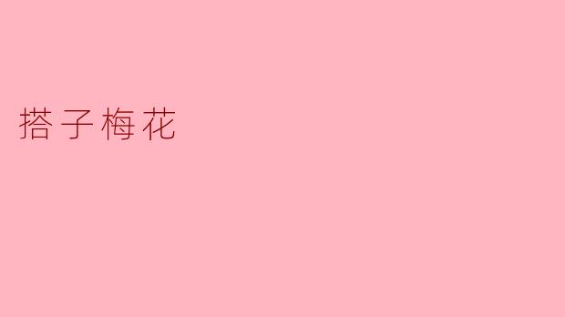 搭子梅花