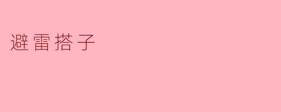 避雷搭子