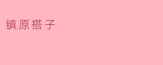 镇原搭子