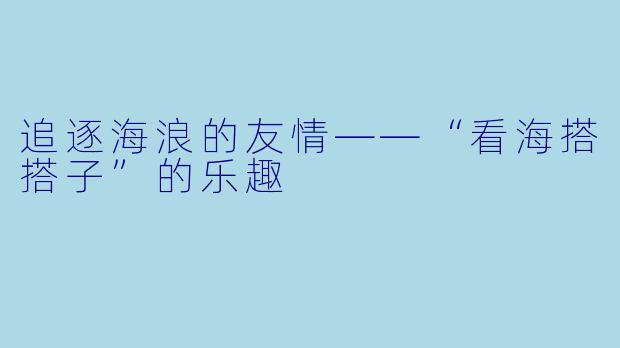 追逐海浪的友情——“看海搭搭子”的乐趣