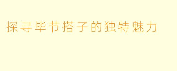 探寻毕节搭子的独特魅力