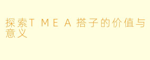 探索TMEA搭子的价值与意义