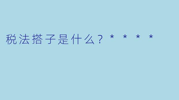 税法搭子是什么？****