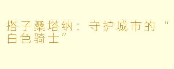 搭子桑塔纳：守护城市的“白色骑士”