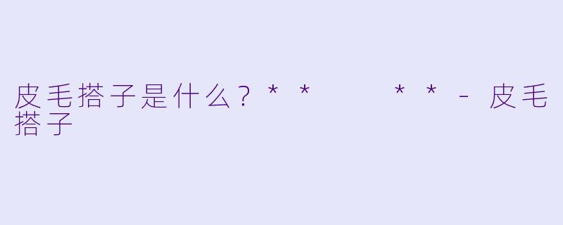 皮毛搭子是什么？**  **