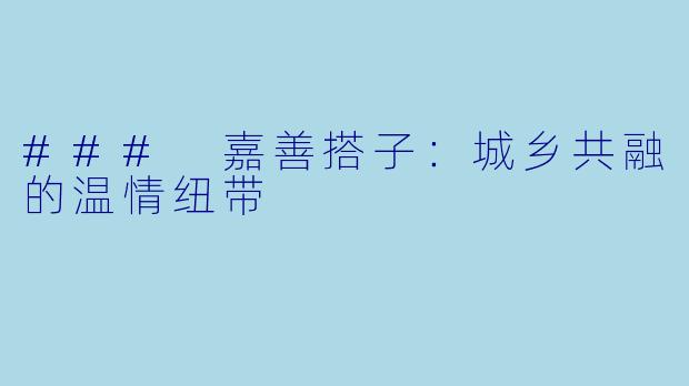 ### 嘉善搭子：城乡共融的温情纽带