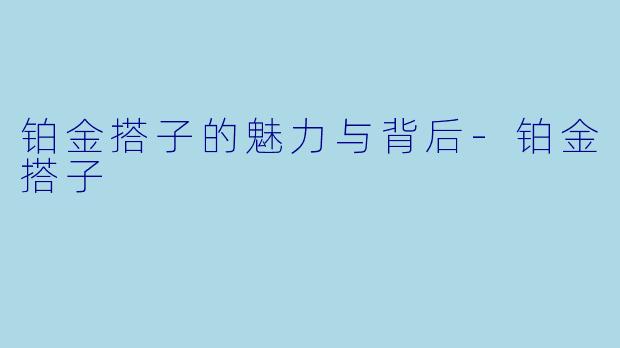 铂金搭子的魅力与背后-铂金搭子