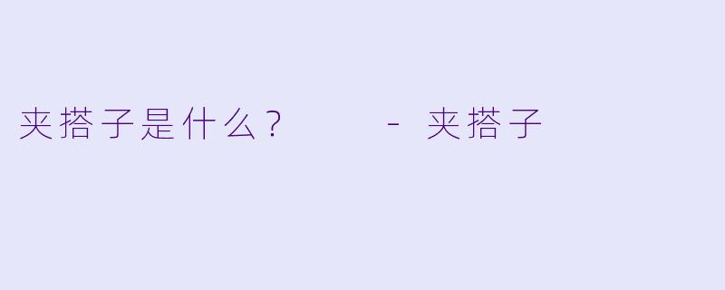 夹搭子是什么？  