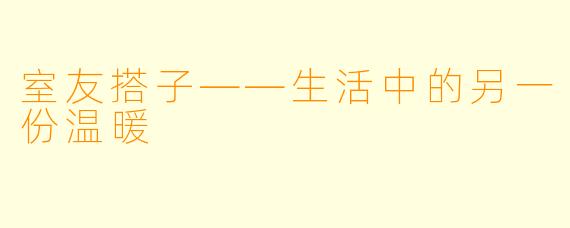 室友搭子——生活中的另一份温暖