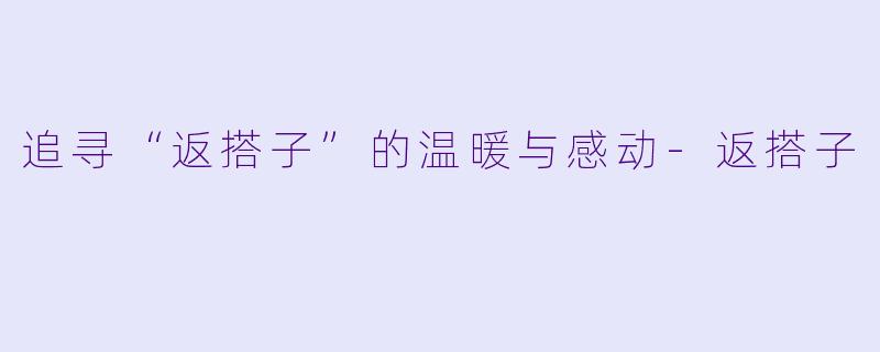 追寻“返搭子”的温暖与感动