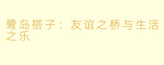 鹭岛搭子：友谊之桥与生活之乐