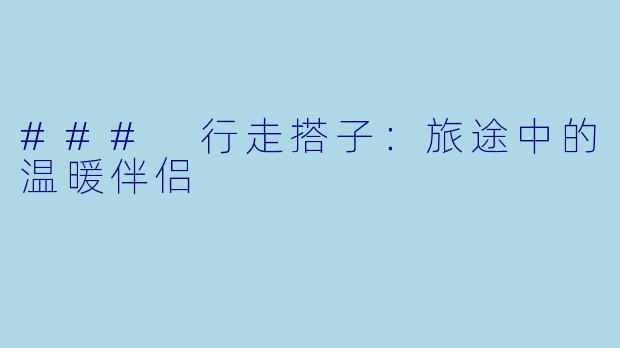 ### 行走搭子：旅途中的温暖伴侣