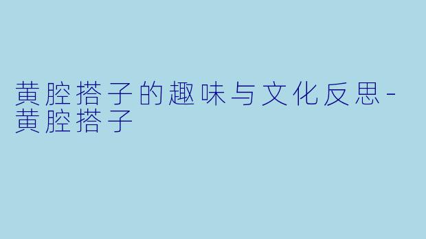黄腔搭子的趣味与文化反思