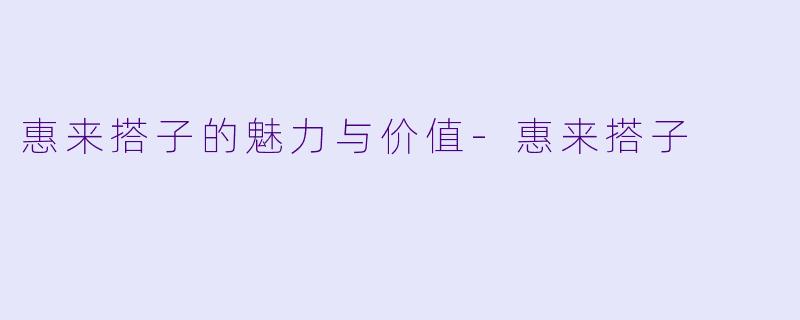 惠来搭子的魅力与价值