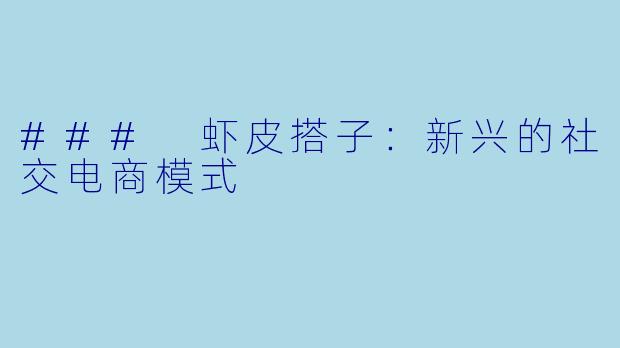 ### 虾皮搭子：新兴的社交电商模式