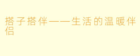 搭子搭伴——生活的温暖伴侣