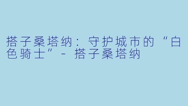 搭子桑塔纳：守护城市的“白色骑士”-搭子桑塔纳