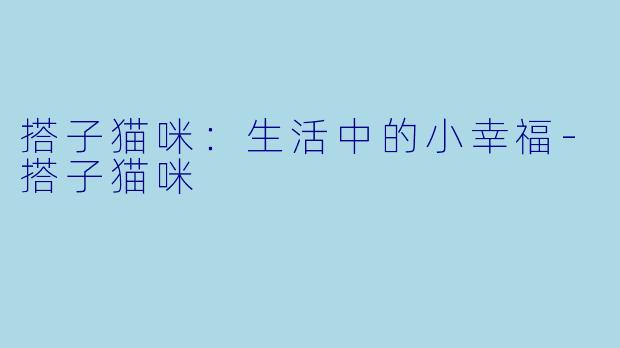 搭子猫咪：生活中的小幸福-搭子猫咪