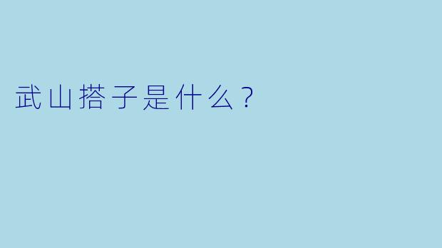 武山搭子是什么？