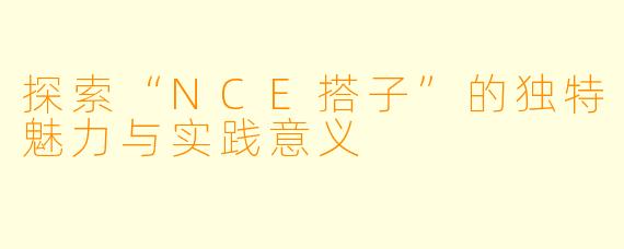 探索“NCE搭子”的独特魅力与实践意义