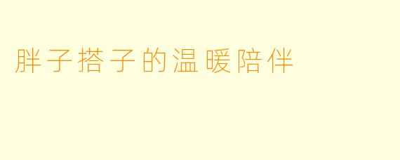 胖子搭子的温暖陪伴