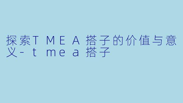 探索TMEA搭子的价值与意义-tmea搭子