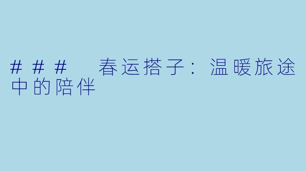 ### 春运搭子：温暖旅途中的陪伴
