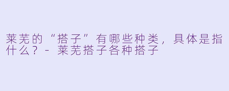莱芜的“搭子”有哪些种类,具体是指什么?