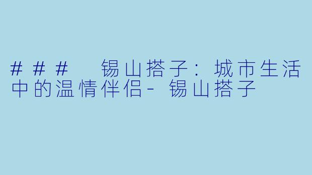 ### 锡山搭子：城市生活中的温情伴侣-锡山搭子