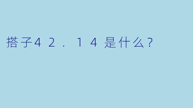 搭子42.14是什么？  