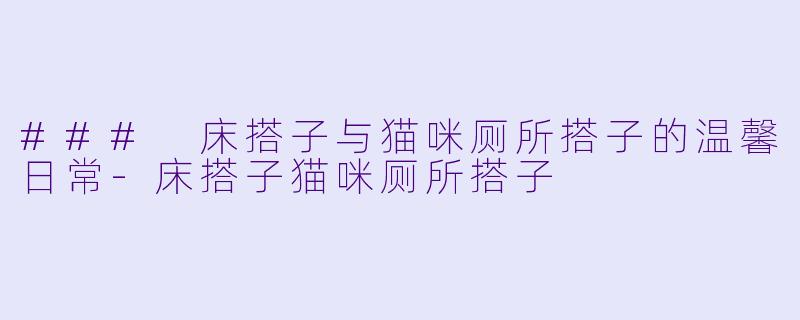### 床搭子与猫咪厕所搭子的温馨日常-床搭子猫咪厕所搭子
