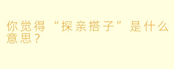 你觉得“探亲搭子”是什么意思？