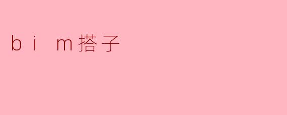 bim搭子