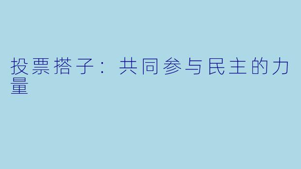 投票搭子：共同参与民主的力量