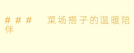 ### 菜场搭子的温暖陪伴