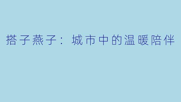 搭子燕子：城市中的温暖陪伴