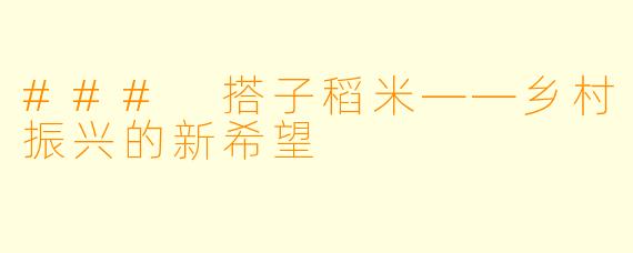 ### 搭子稻米——乡村振兴的新希望