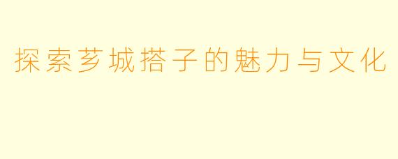 探索芗城搭子的魅力与文化