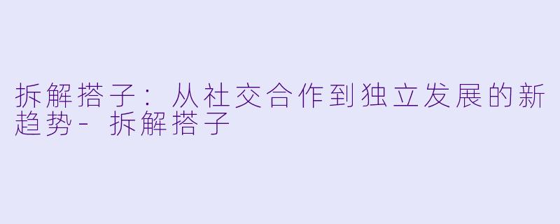 拆解搭子：从社交合作到独立发展的新趋势-拆解搭子