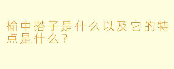 榆中搭子是什么以及它的特点是什么？