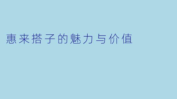 惠来搭子的魅力与价值