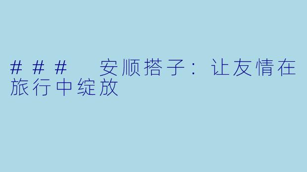 ### 安顺搭子：让友情在旅行中绽放