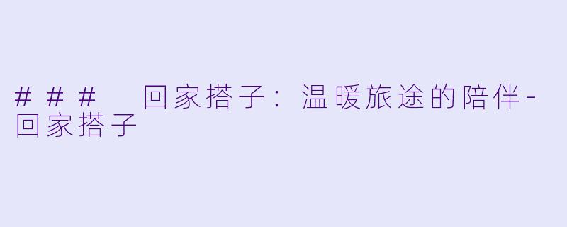 ### 回家搭子:温暖旅途的陪伴
