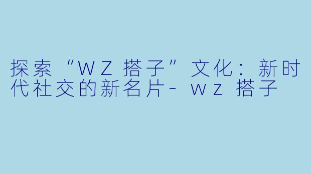 探索“WZ搭子”文化：新时代社交的新名片-wz搭子