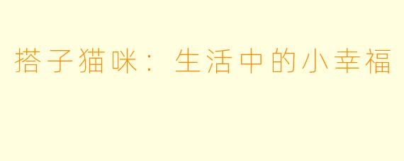 搭子猫咪：生活中的小幸福