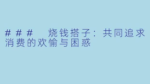 ### 烧钱搭子：共同追求消费的欢愉与困惑