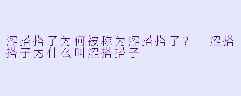 涩搭搭子为何被称为涩搭搭子？-涩搭搭子为什么叫涩搭搭子