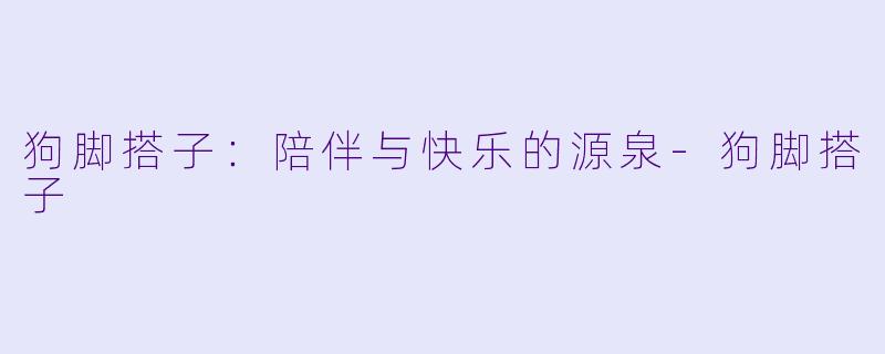 狗脚搭子：陪伴与快乐的源泉